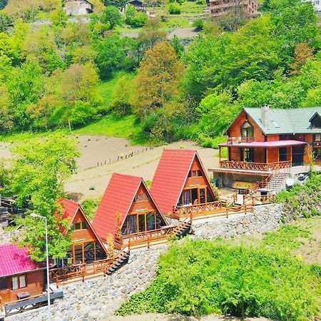 The Wooden House Uzungoel Uzungöl Kültér fotó