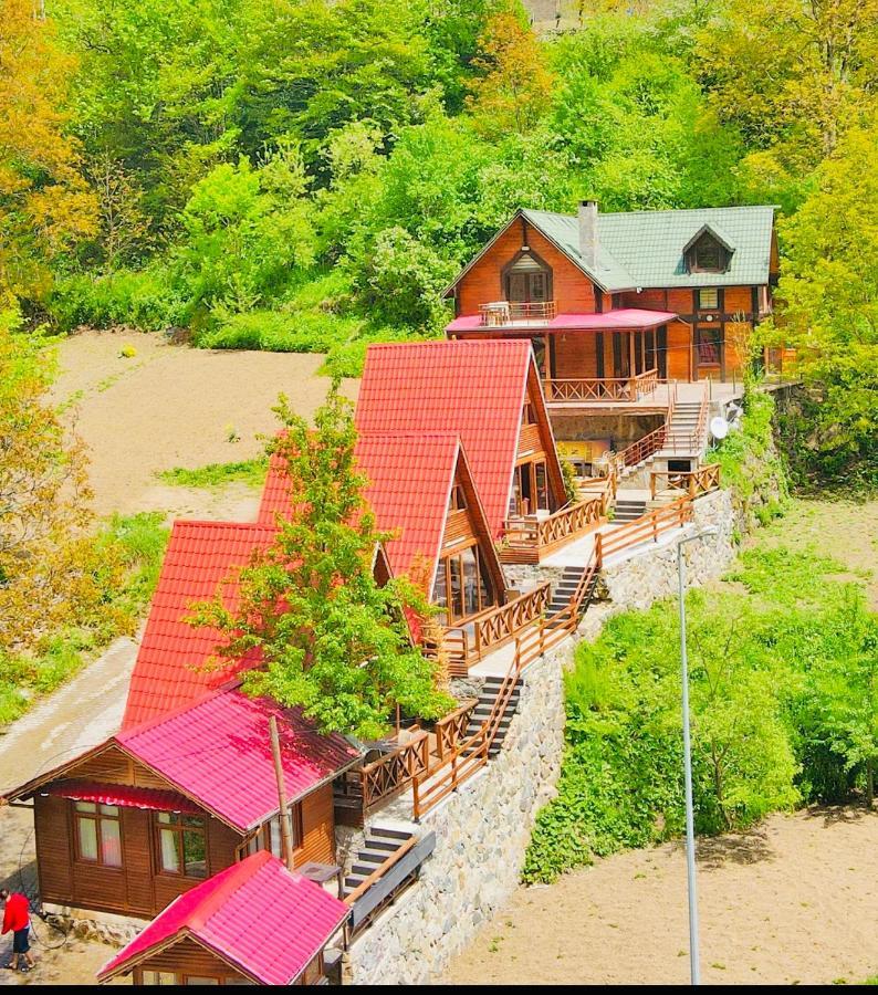 The Wooden House Uzungoel Uzungöl Kültér fotó