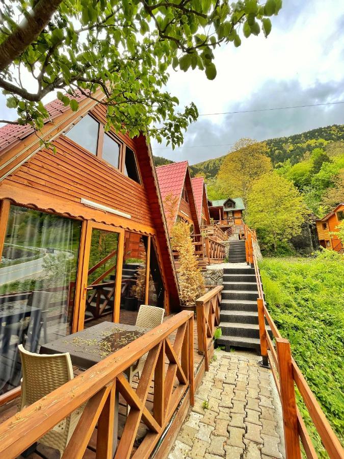 The Wooden House Uzungoel Uzungöl Kültér fotó