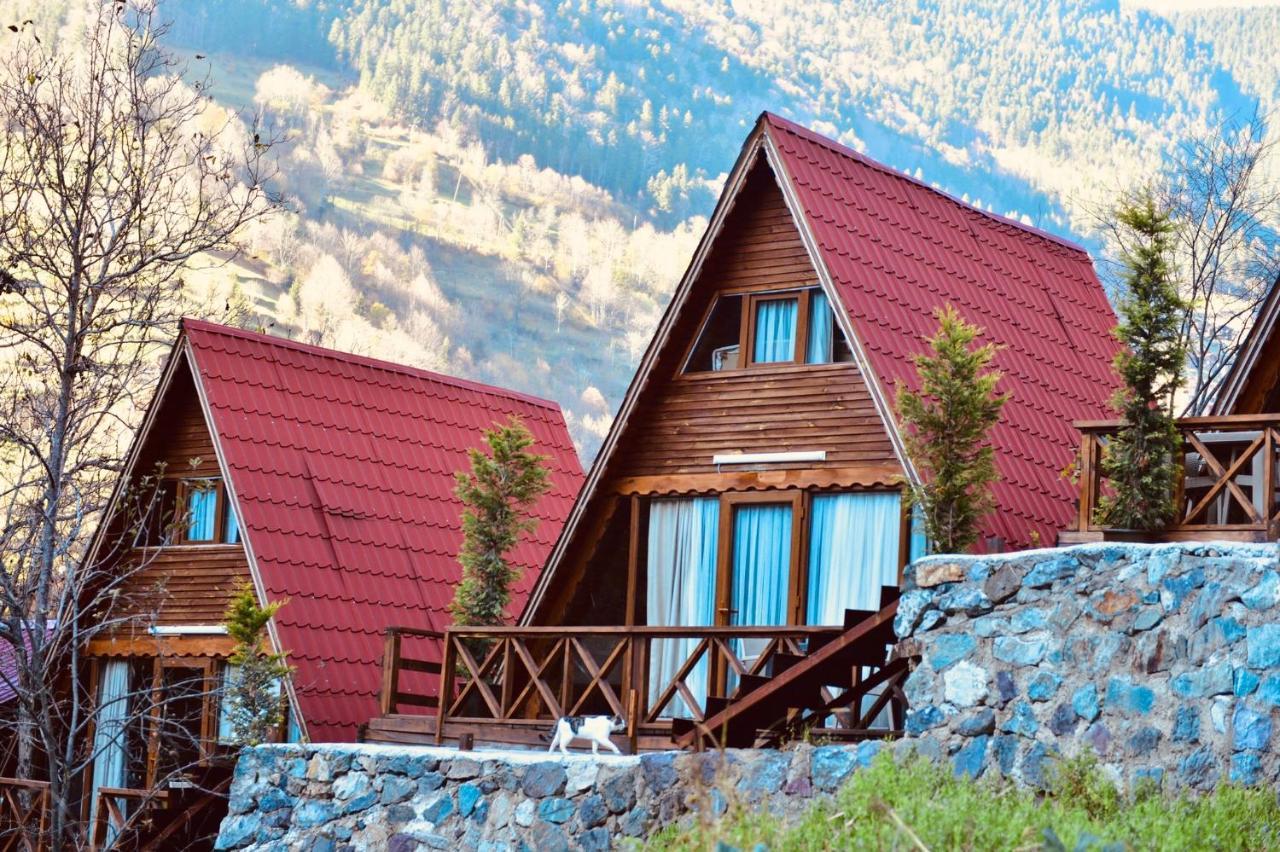 The Wooden House Uzungoel Uzungöl Kültér fotó