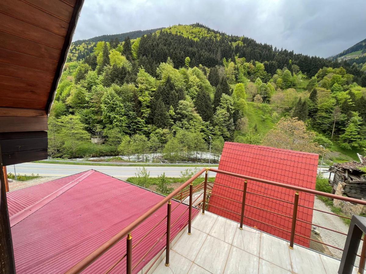 The Wooden House Uzungoel Uzungöl Kültér fotó