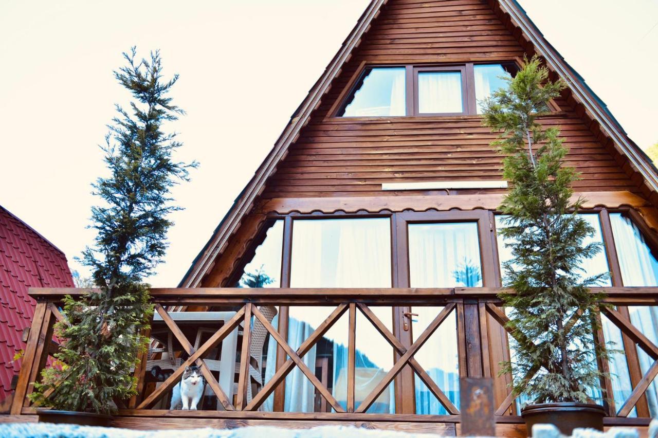 The Wooden House Uzungoel Uzungöl Kültér fotó